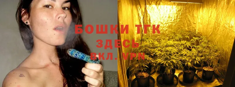 Бошки марихуана Ganja  Сольцы 